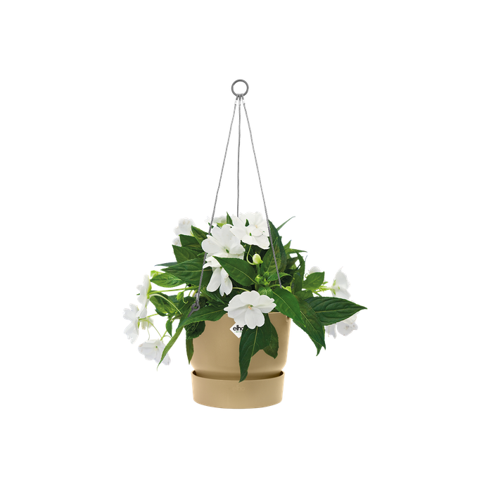 greenville hanging basket 24cm arena dorada